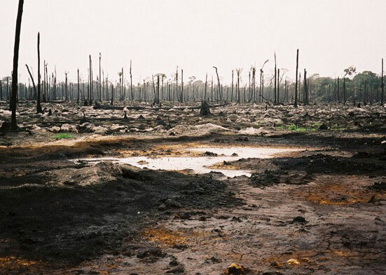 Oil Spill