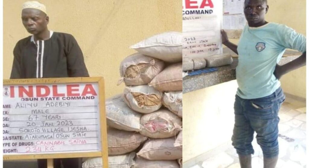 Drug Trafficking: NDLEA Arrest Leper In Kano, Blind Old Man In Osun 000000000000000000000000000000000000000