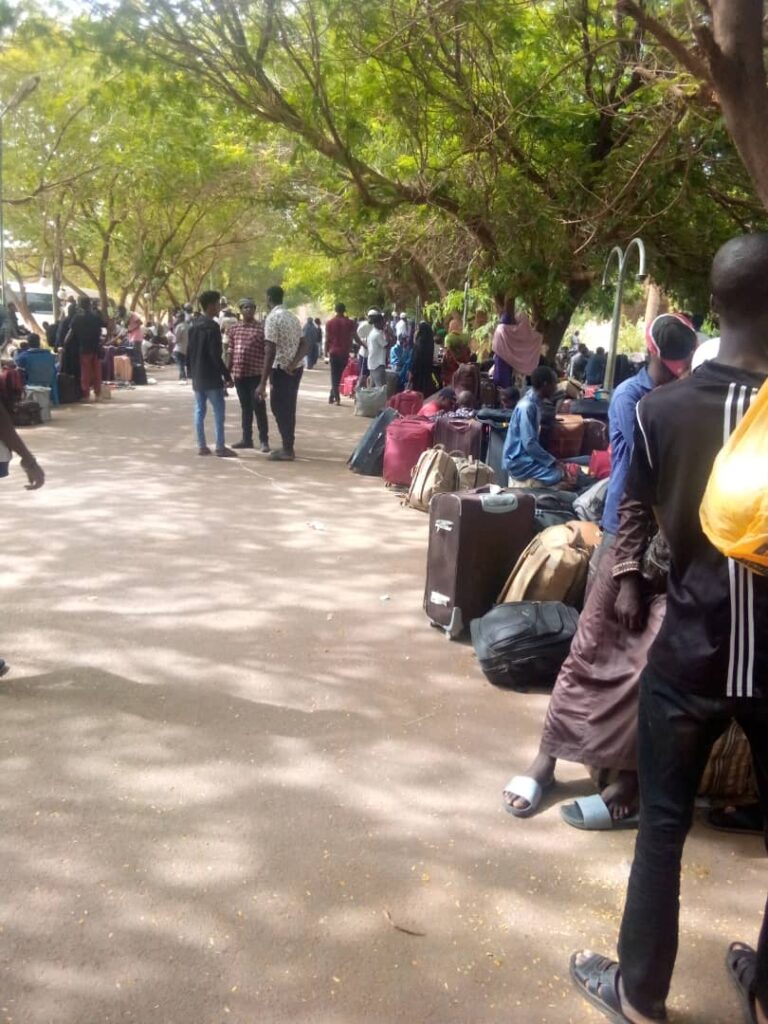 79ce955d faee 4c76 9d5d f8325f3e14d7