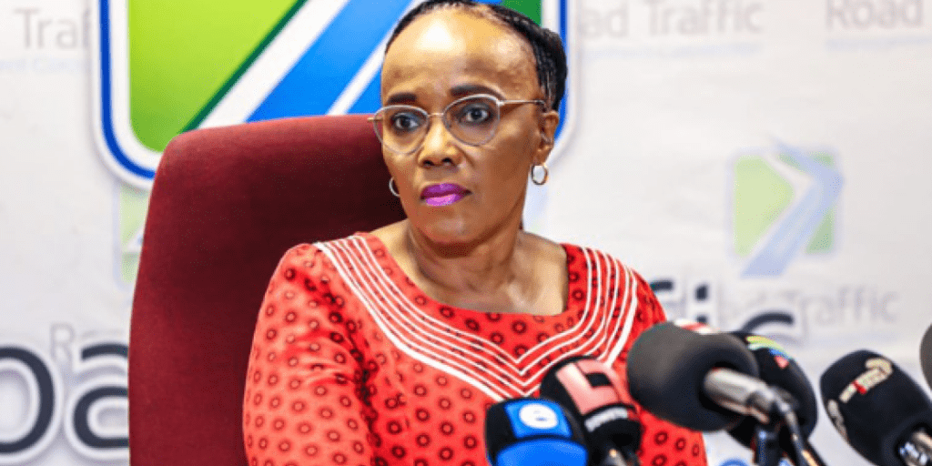 Sotuh Africa Minister