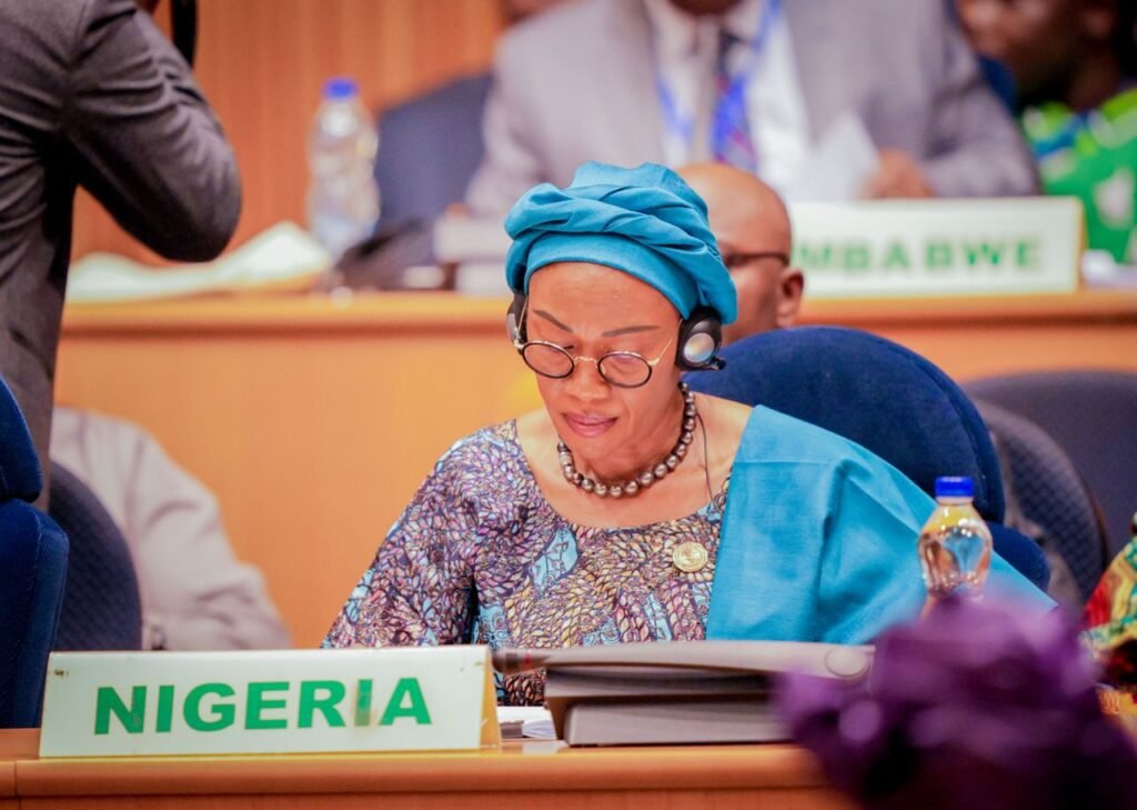 Remi Tinubu IWD