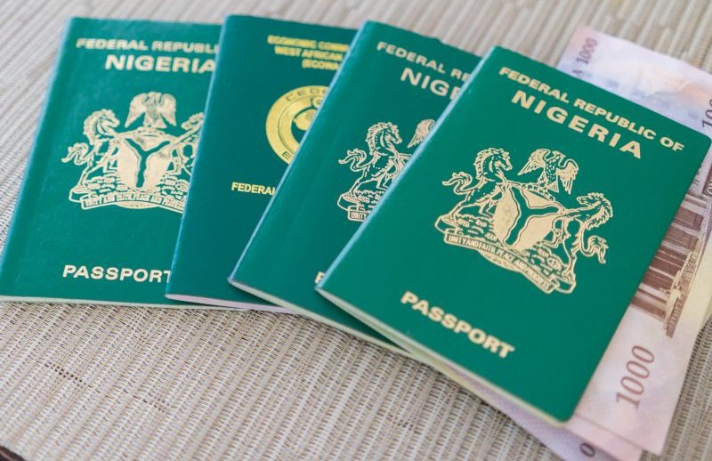 Diaspora Petition: Minister Orders Deployment Of Passport Printers To US Consulates Nigerian Passport