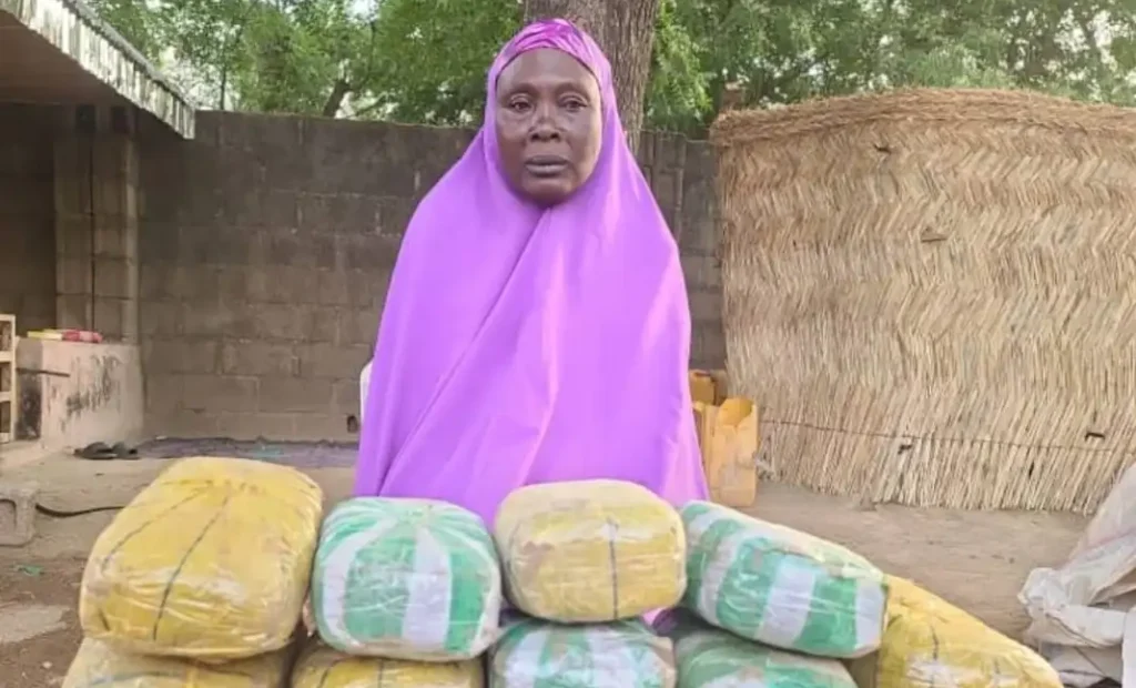 Troops Arrest 65-Year-Old Woman For Supplying Drugs To Terrorists In Borno Borno Drug 2 e1769350468457