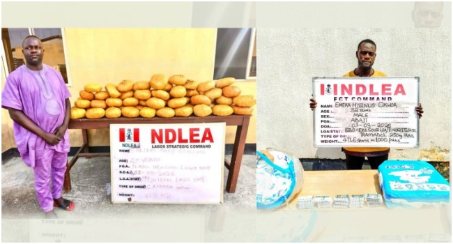 NDLEA Arrests Ex-Lagos Councillor With 40kg Of Skunk, Uncovers 500 Pieces Of IEDs In Niger NDLEA Skunk