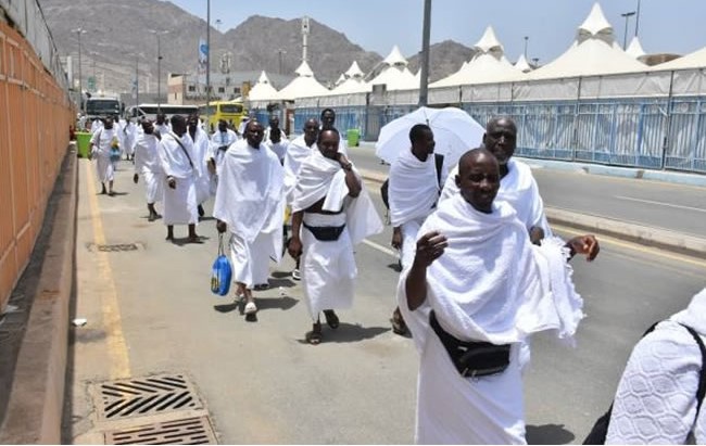 NAHCON Begins Probe As Tour Operators Allegedly Smuggle Extra Pilgrims To Hajj Hajj Nigeria
