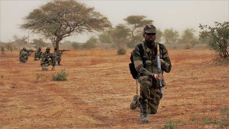 Sahel Crisis And Nigeria’s Strategic Realities – By Adamu S. Ladan Sahel Crisis 2