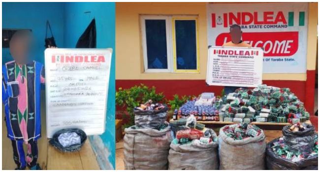 NDLEA Intercepts Over 320,000 Tramadol Capsules Hidden in Building Materials NDLEA Tramadol