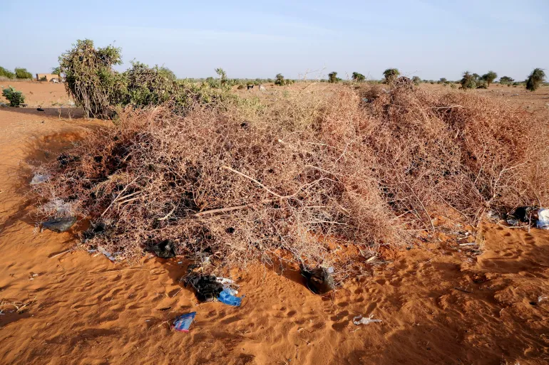 Rights Group Says Drone Strike Kills 11 In Central Sudan Market Sudan Drone MArket