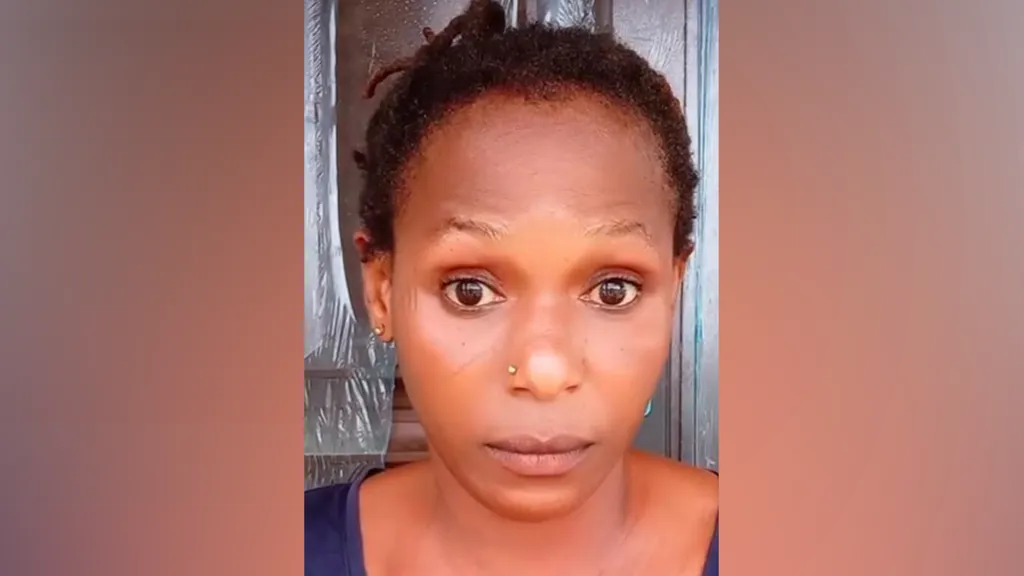 Popular Ghana TikToker Jailed After Sharing ‘Fake News’ About President Mahama Ghana Tiktoker
