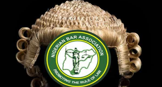 DSS, Foreign Observers To Monitor NBA Election As President Allays Rigging Fears NBA 3