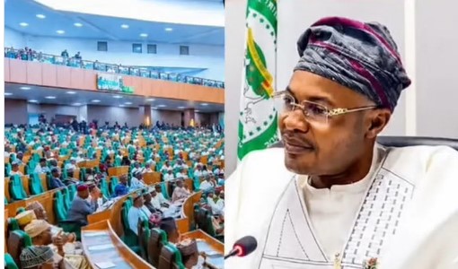 Reps Yet To Decide Where To Question Fake Agency DG As Adeyemi Insists On Lawyers, Journalists Reps Fake Agency