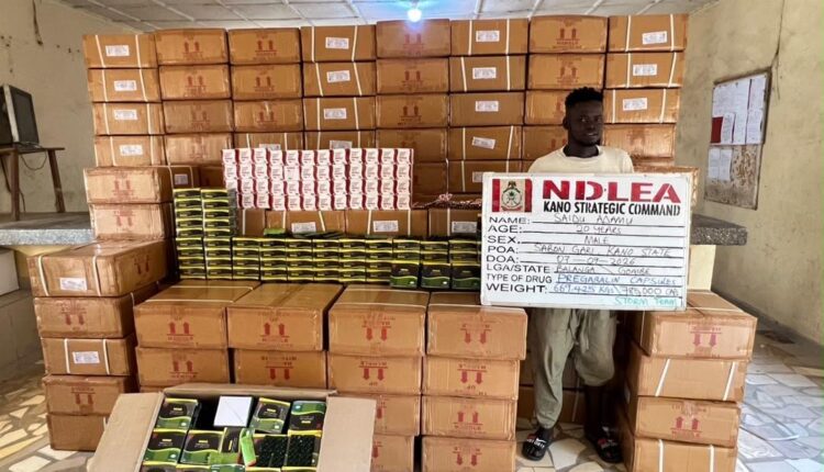 NDLEA Seizes 785,000 Pregabalin Capsules Weighing 669kg In Kano, Arrests 20-Year-Old NDLEA 20 Year Old