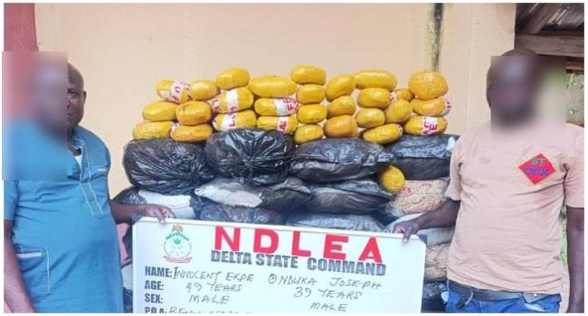 NDLEA Intercepts 1.3m Tramadol Pills, 6,000kg Cannabis Worth N3.4bn In Nationwide Operations NDLEA Fake Police