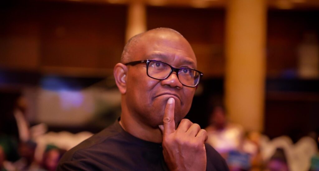 Peter Obi’s Subsidy Position May Jeopardise Opposition Coalition, ADC Warns Obi thinks