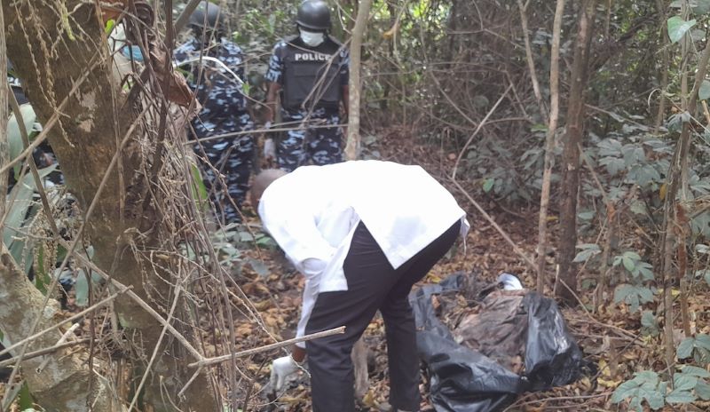 Police Recover 28 Human Skulls, Bones From Kidnap Camp In Abia Police Corpses