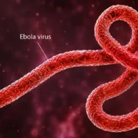 Ebola Virus