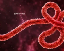 Ebola Virus