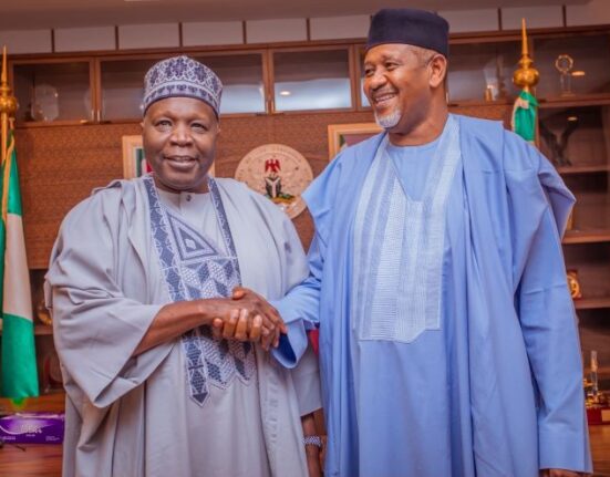 Gombe Hamma Sale