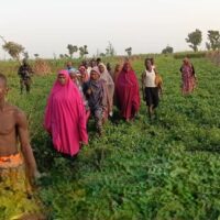KAtsina Troops Rescue