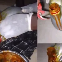 NDLEA Palm Oil