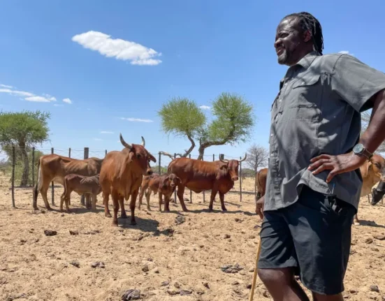 Namibia Cattle Disease