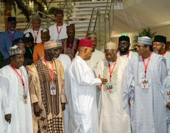 Shettima Northern Leaders